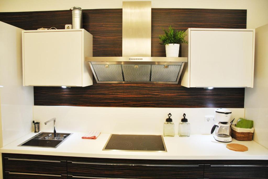 Schoenbrunn Park Apartement Wien Værelse billede